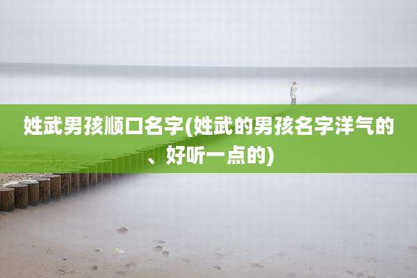 姓武男孩顺口名字(姓武的男孩名字洋气的、好听一点的)