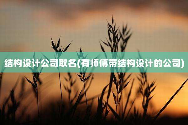 结构设计公司取名(有师傅带结构设计的公司)