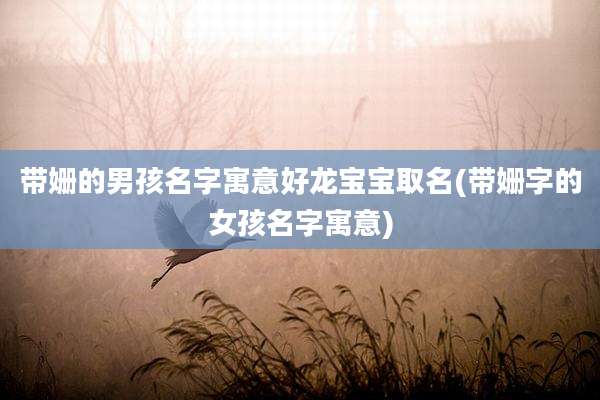 带姗的男孩名字寓意好龙宝宝取名(带姗字的女孩名字寓意)