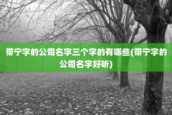 带宁字的公司名字三个字的有哪些(带宁字的公司名字好听)