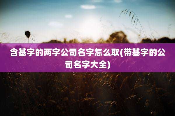 含基字的两字公司名字怎么取(带基字的公司名字大全)