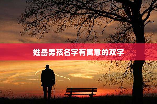 姓岳男孩名字有寓意的双字