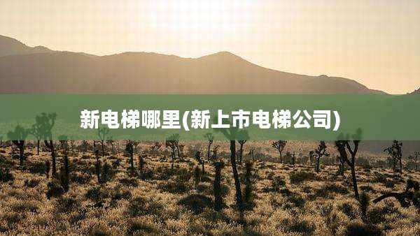 新电梯哪里(新上市电梯公司)
