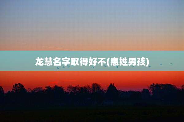 龙慧名字取得好不(惠姓男孩)