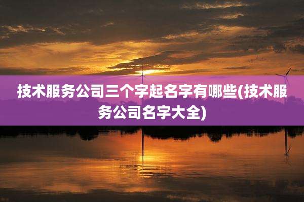 技术服务公司三个字起名字有哪些(技术服务公司名字大全)