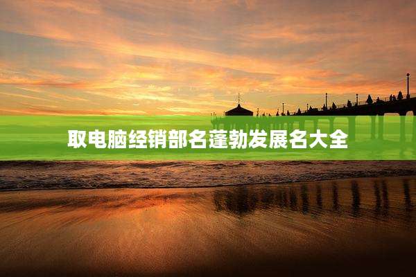 取电脑经销部名蓬勃发展名大全
