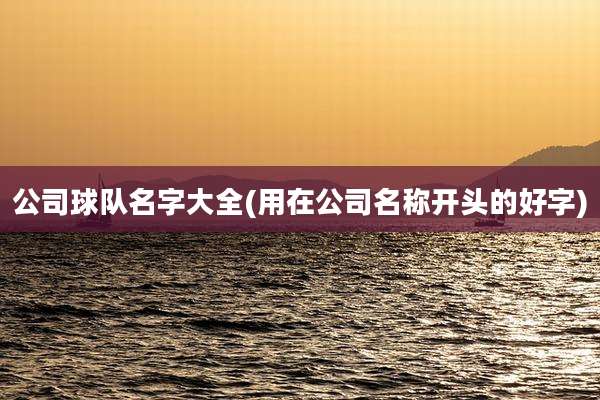 公司球队名字大全(用在公司名称开头的好字)