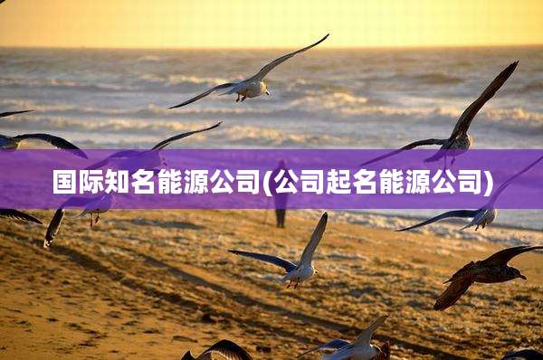 国际知名能源公司(公司起名能源公司)