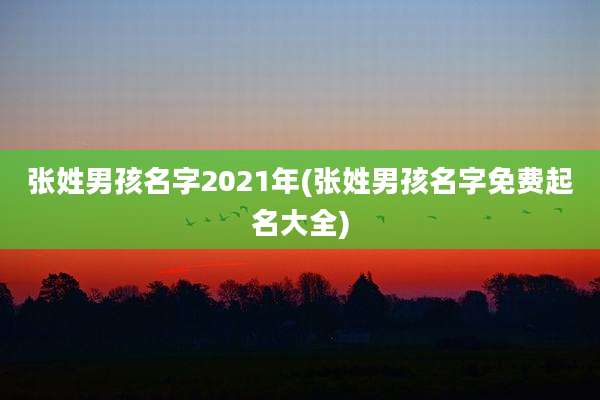 张姓男孩名字2021年(张姓男孩名字免费起名大全)