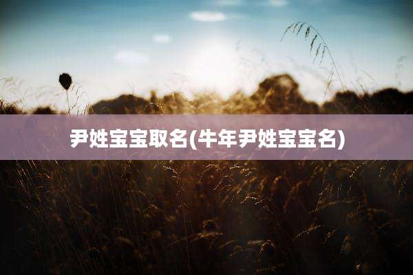 尹姓宝宝取名(牛年尹姓宝宝名)