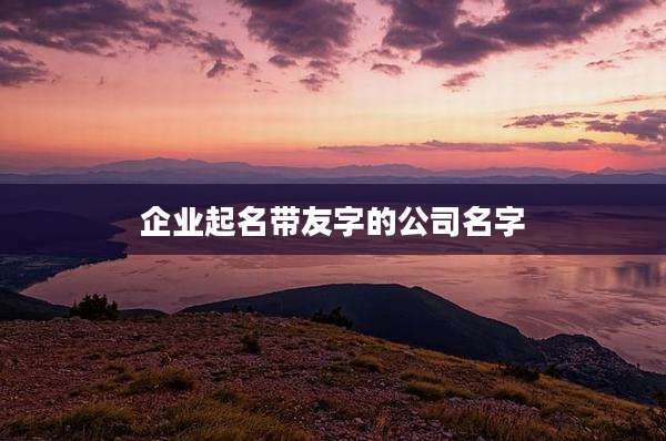 企业起名带友字的公司名字