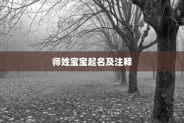 师姓宝宝起名及注释