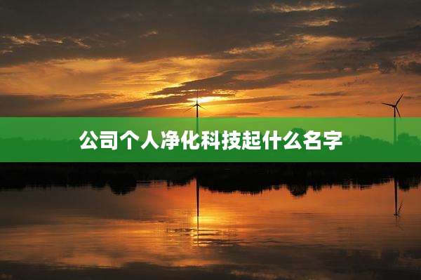 公司个人净化科技起什么名字