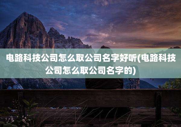 电路科技公司怎么取公司名字好听(电路科技公司怎么取公司名字的)