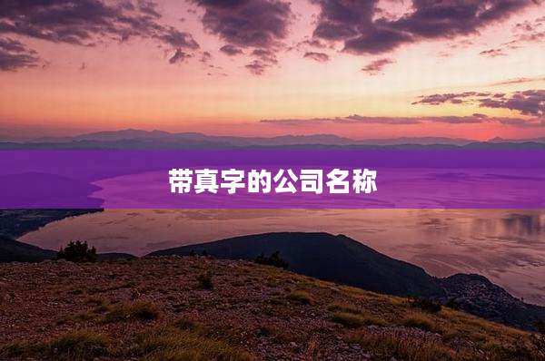带真字的公司名称