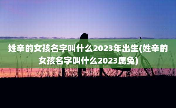 姓辛的女孩名字叫什么2023年出生(姓辛的女孩名字叫什么2023属兔)