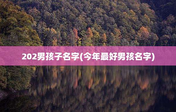 202男孩子名字(今年最好男孩名字)