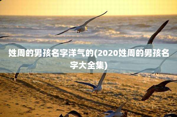 姓周的男孩名字洋气的(2020姓周的男孩名字大全集)
