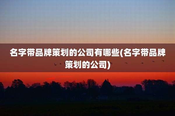 名字带品牌策划的公司有哪些(名字带品牌策划的公司)