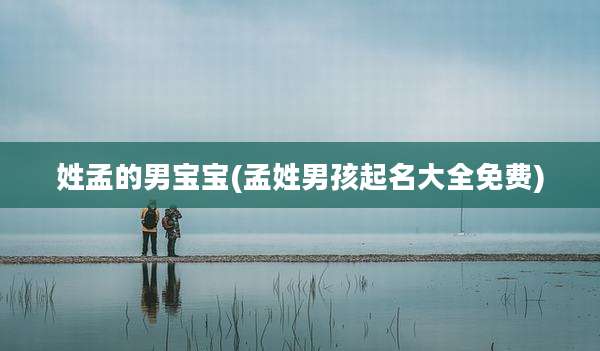 姓孟的男宝宝(孟姓男孩起名大全免费)
