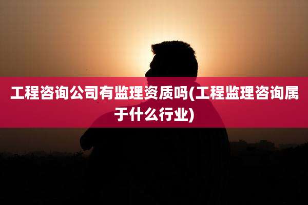 工程咨询公司有监理资质吗(工程监理咨询属于什么行业)