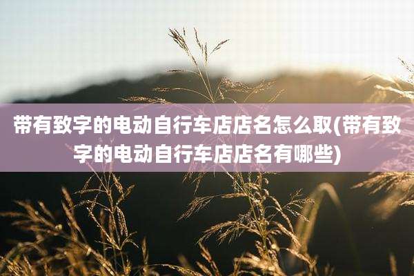 带有致字的电动自行车店店名怎么取(带有致字的电动自行车店店名有哪些)