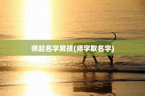 师起名字男孩(师字取名字)