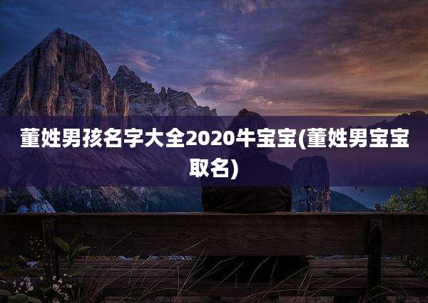 董姓男孩名字大全2020牛宝宝(董姓男宝宝取名)