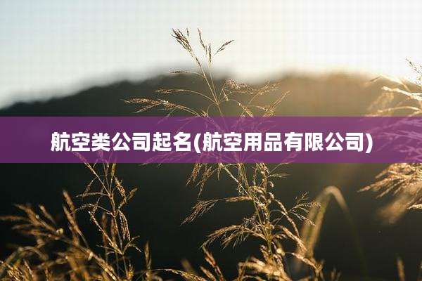 航空类公司起名(航空用品有限公司)