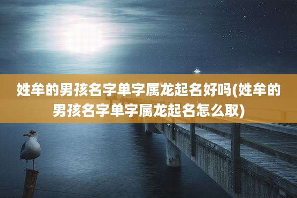 姓牟的男孩名字单字属龙起名好吗(姓牟的男孩名字单字属龙起名怎么取)