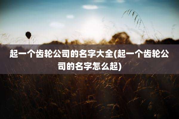 起一个齿轮公司的名字大全(起一个齿轮公司的名字怎么起)
