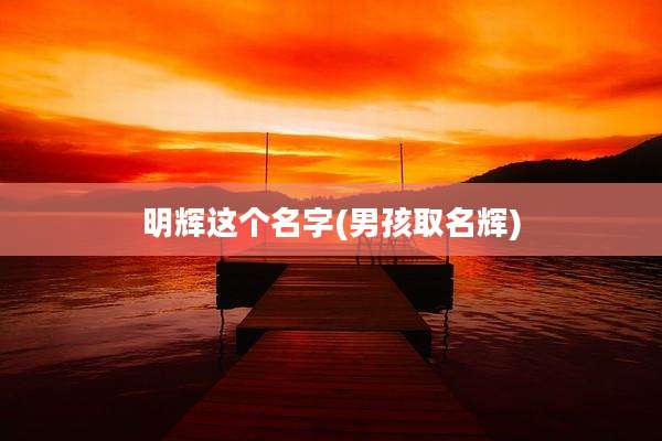 明辉这个名字(男孩取名辉)