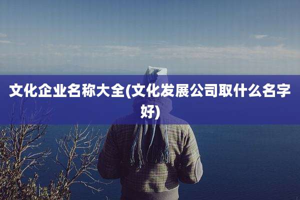 文化企业名称大全(文化发展公司取什么名字好)