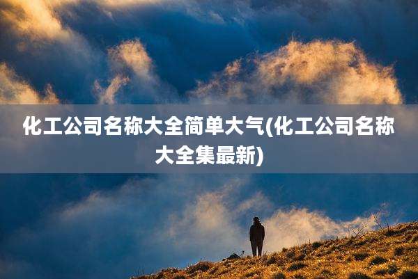 化工公司名称大全简单大气(化工公司名称大全集最新)