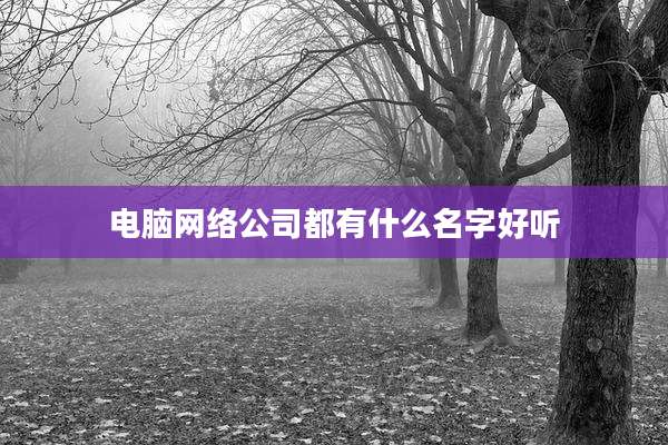 电脑网络公司都有什么名字好听