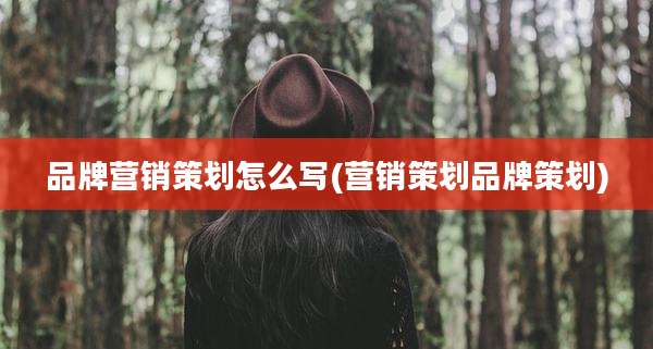 品牌营销策划怎么写(营销策划品牌策划)