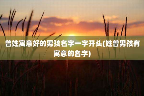 曾姓寓意好的男孩名字一字开头(姓曾男孩有寓意的名字)