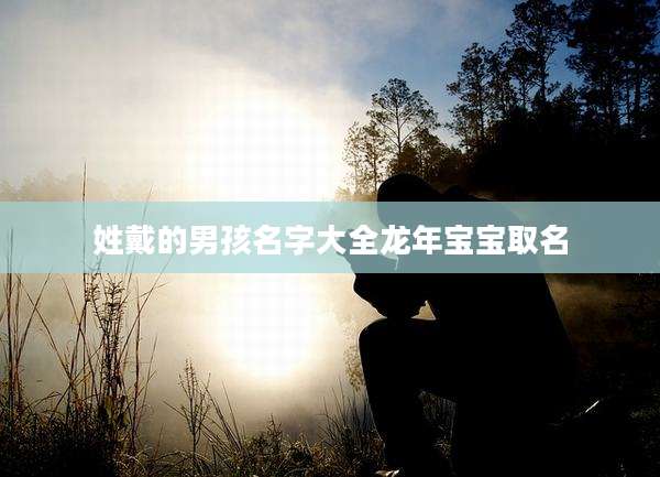 姓戴的男孩名字大全龙年宝宝取名