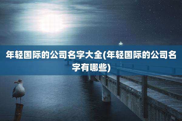 年轻国际的公司名字大全(年轻国际的公司名字有哪些)