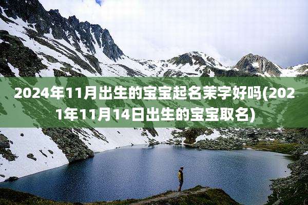 2024年11月出生的宝宝起名茉字好吗(2021年11月14日出生的宝宝取名)