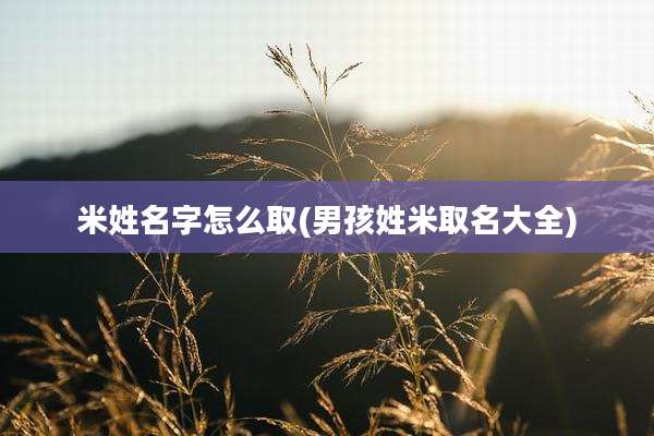 米姓名字怎么取(男孩姓米取名大全)