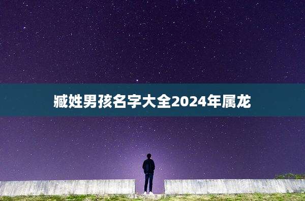 臧姓男孩名字大全2024年属龙