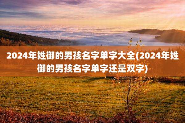 2024年姓御的男孩名字单字大全(2024年姓御的男孩名字单字还是双字)