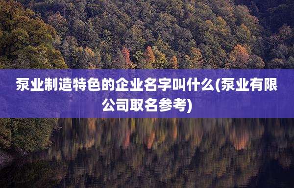 泵业制造特色的企业名字叫什么(泵业有限公司取名参考)