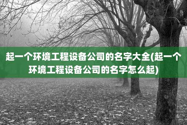 起一个环境工程设备公司的名字大全(起一个环境工程设备公司的名字怎么起)