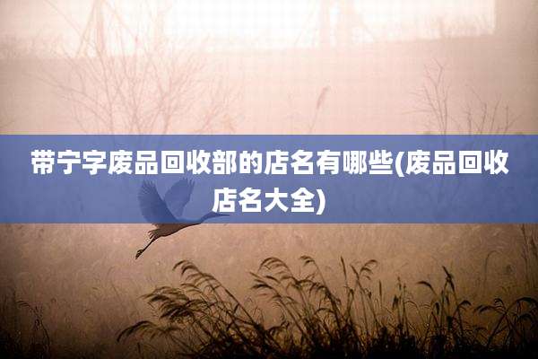 带宁字废品回收部的店名有哪些(废品回收店名大全)