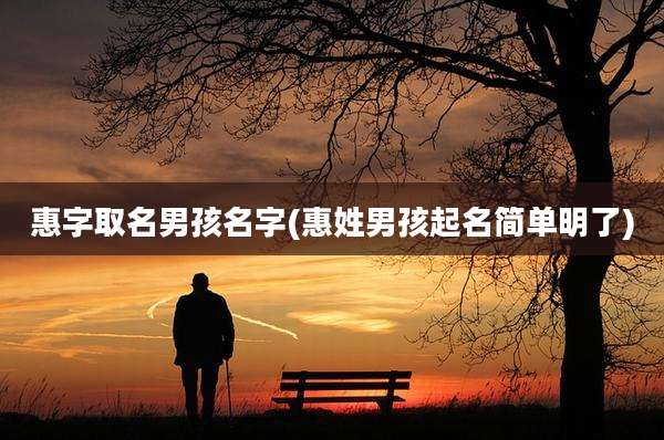 惠字取名男孩名字(惠姓男孩起名简单明了)