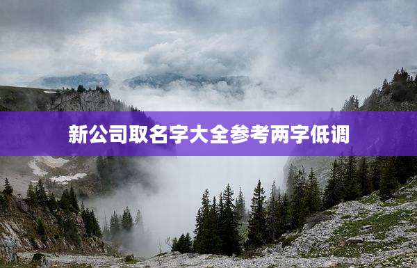 新公司取名字大全参考两字低调
