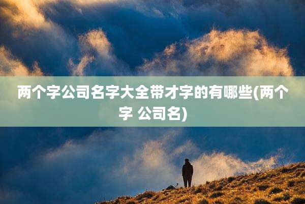 两个字公司名字大全带才字的有哪些(两个字 公司名)