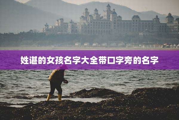 姓谌的女孩名字大全带口字旁的名字